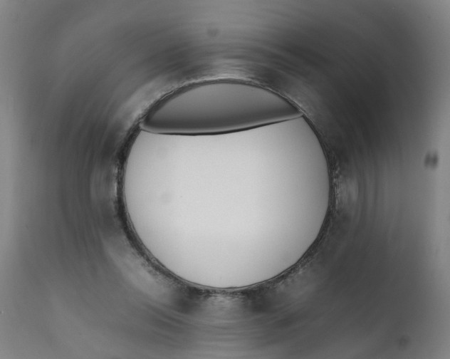 X0000111780350200908131354