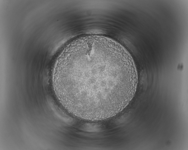 X0000111780351200908131354
