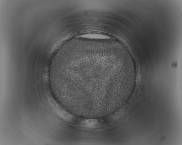 X0000111780353200908131354