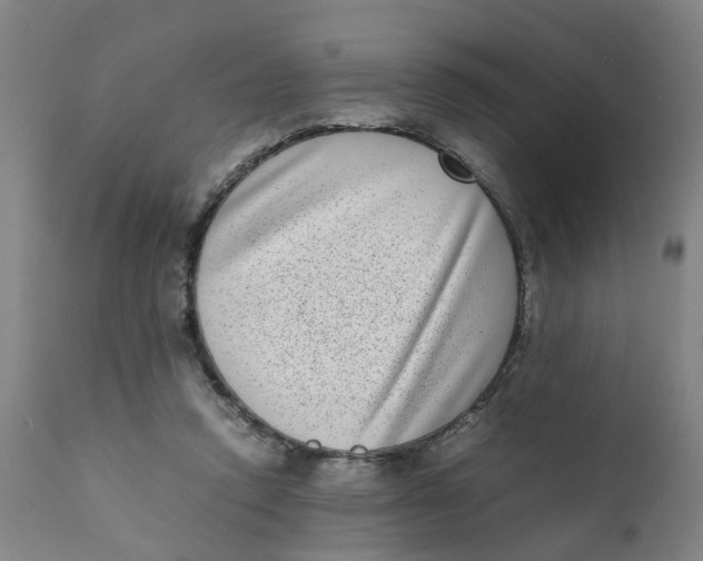 X0000111780354200908131354