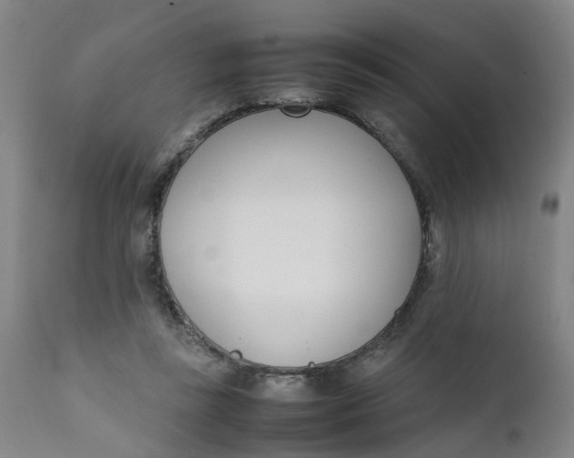 X0000111780355200908131354