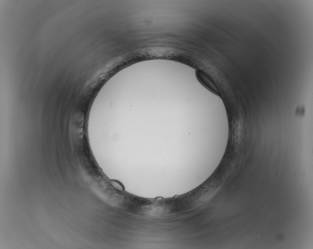 X0000111780356200908131354