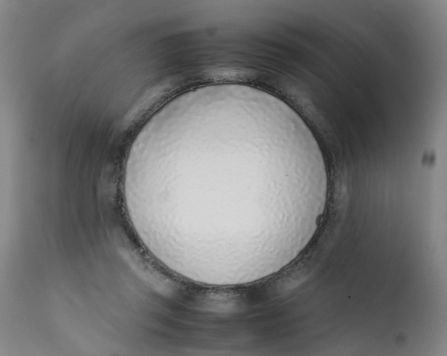 X0000111780357200908131354