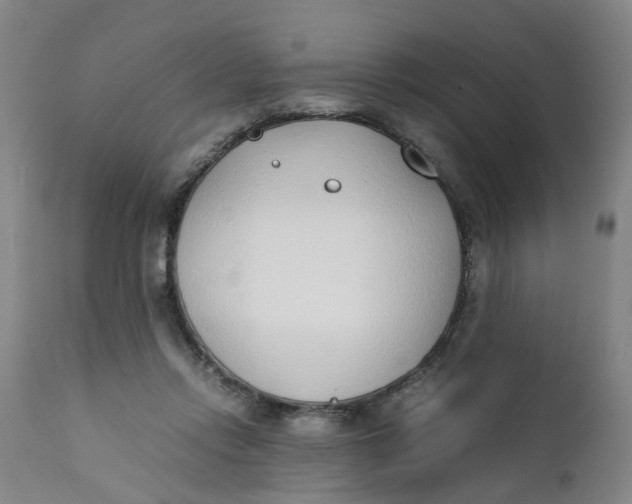 X0000111780358200908131354