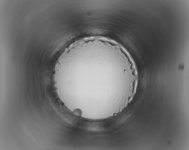 X0000111780359200908131354