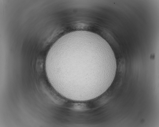 X0000111780363200908131354
