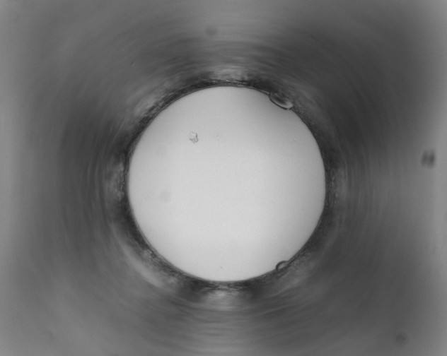 X0000111780364200908131354