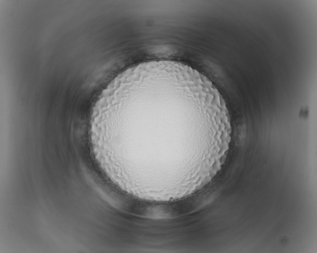 X0000111780365200908131354