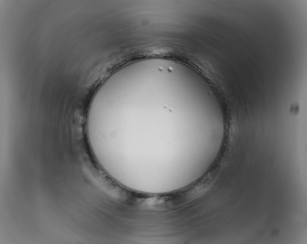 X0000111780366200908131354