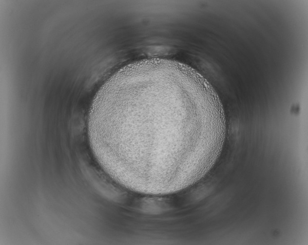 X0000111780367200908131354
