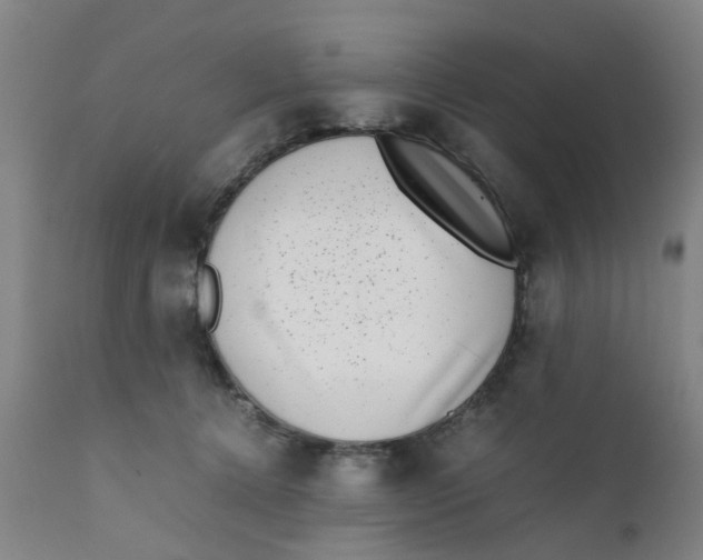 X0000111780368200908131354