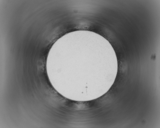 X0000111780370200908131354