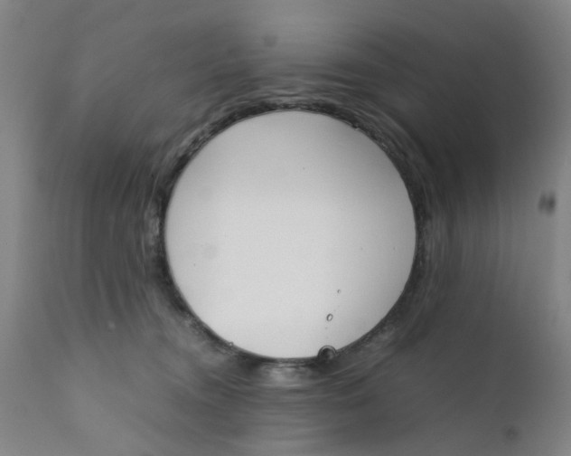 X0000111780372200908131354