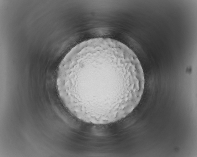 X0000111780373200908131354