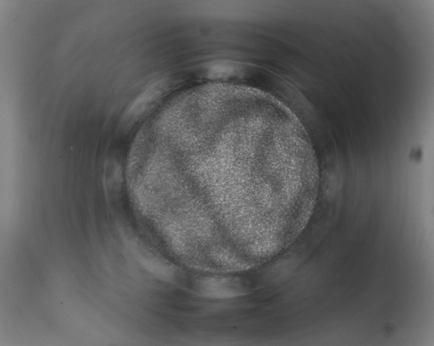 X0000111780375200908131354