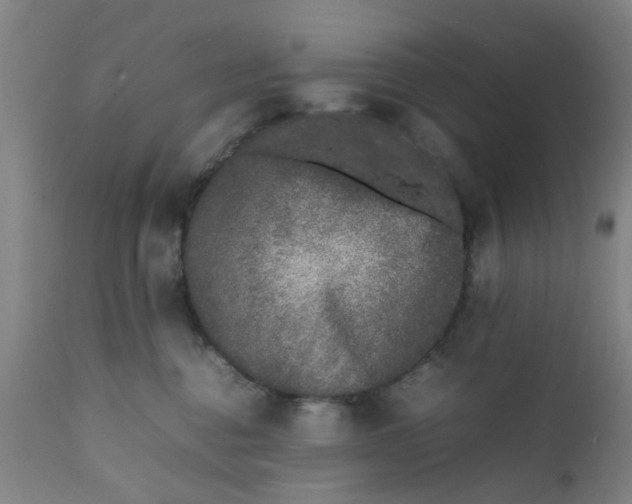 X0000111780376200908131354