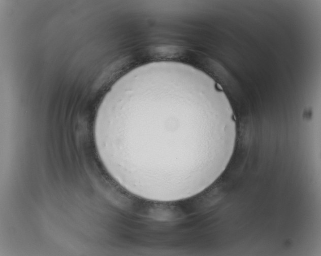 X0000111780377200908131354
