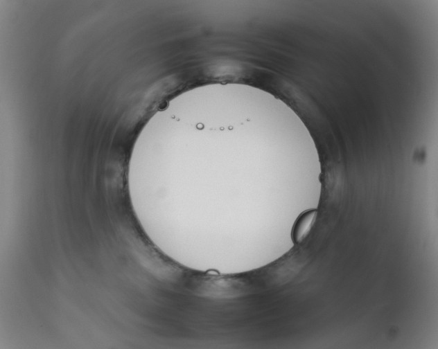 X0000111780379200908131354