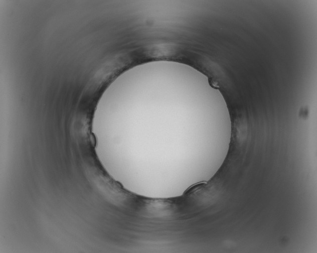 X0000111780380200908131354