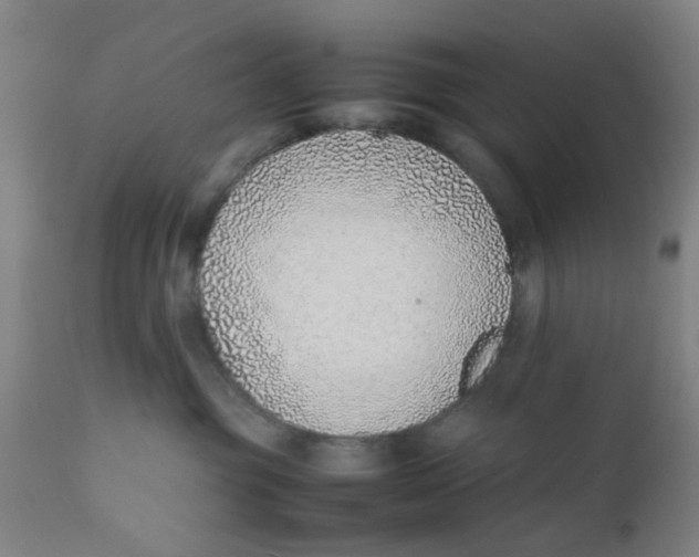 X0000111780381200908131354