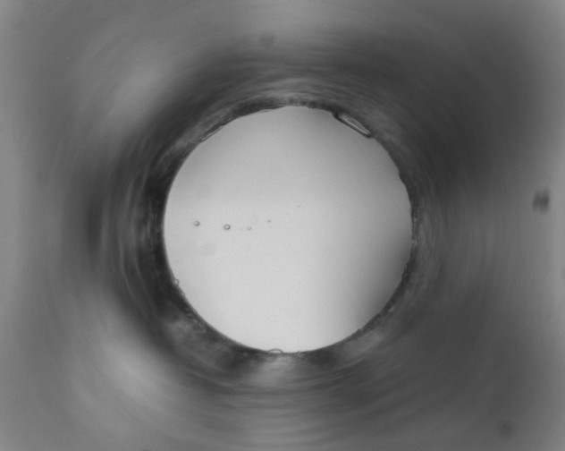 X0000111780382200908131354