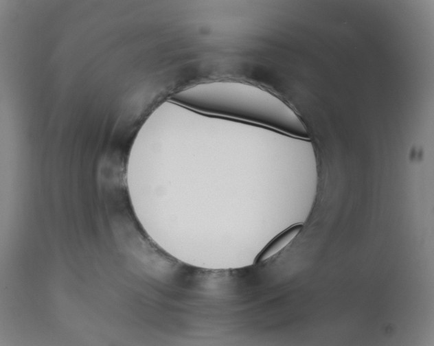 X0000111780384200908131354
