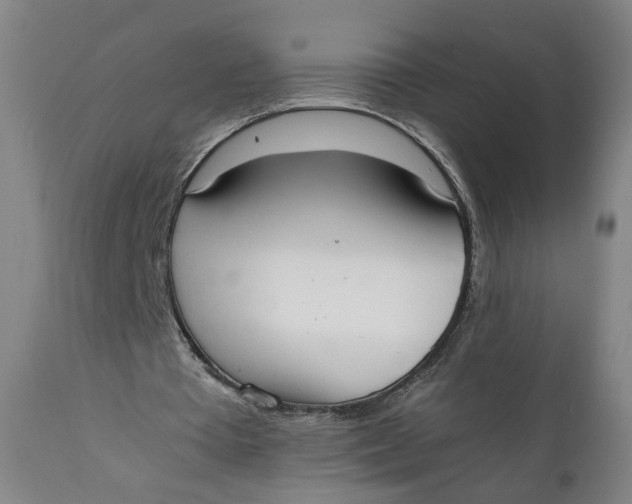 X0000111780385200908131353