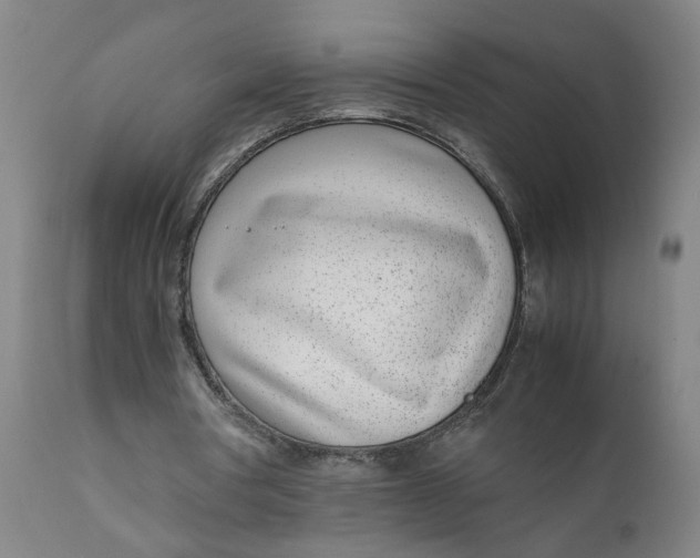 X0000111780386200908131353