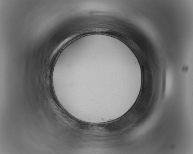 X0000111780387200908131353