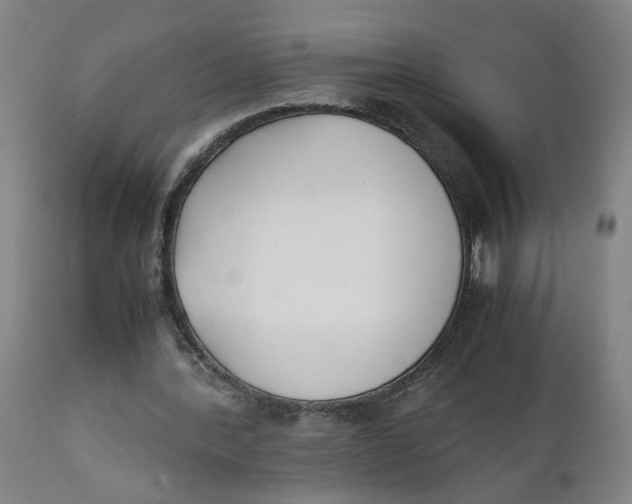 X0000111780388200908131353
