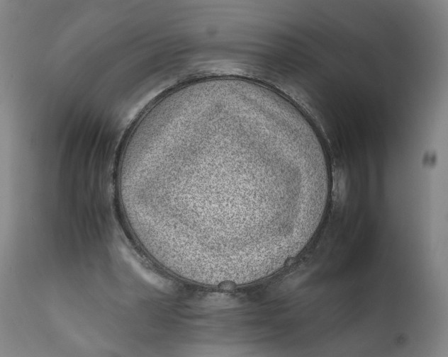 X0000111780390200908131353