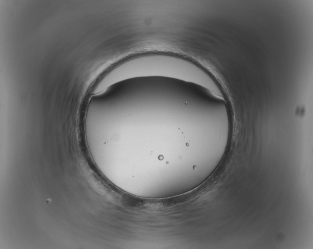 X0000111780391200908131353