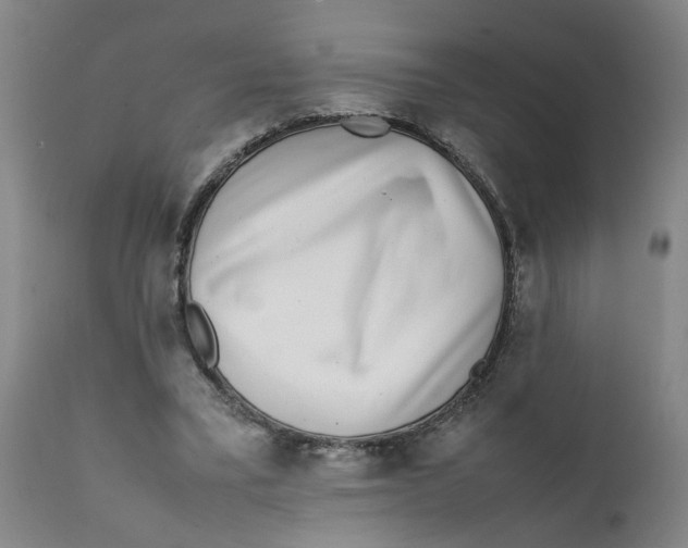 X0000111780395200908131353