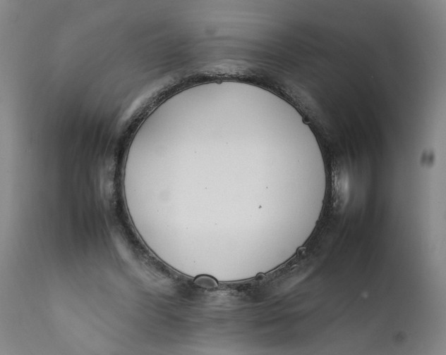 X0000111780396200908131353
