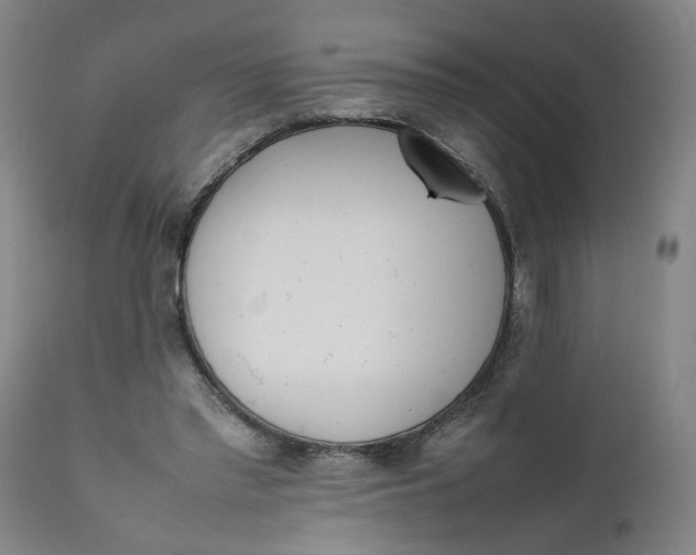 X0000111780397200908131353