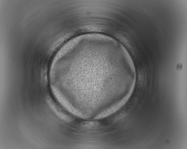 X0000111780398200908131353