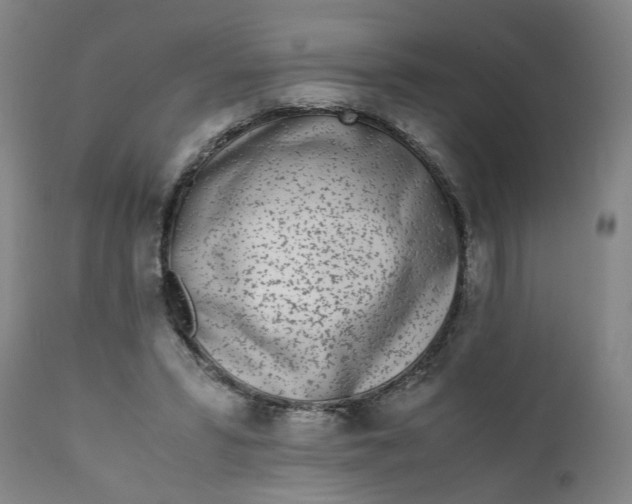 X0000111780399200908131353