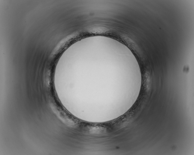 X0000111780400200908131353