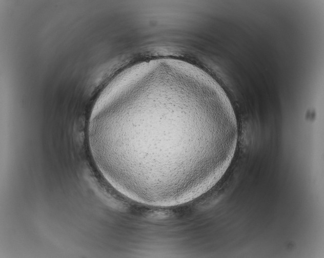 X0000111780402200908131353