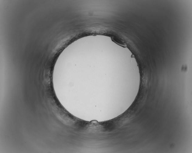 X0000111780403200908131353