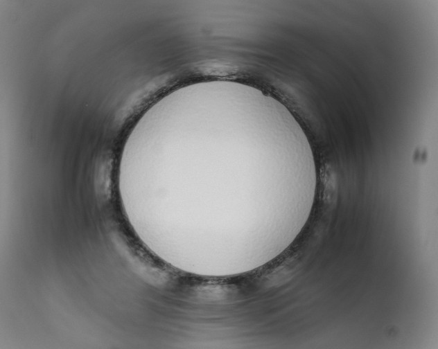 X0000111780404200908131353