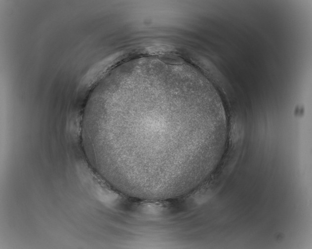 X0000111780405200908131353