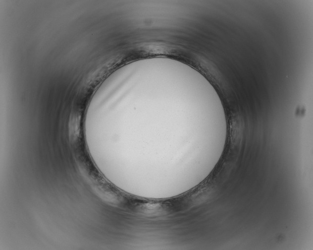 X0000111780406200908131353