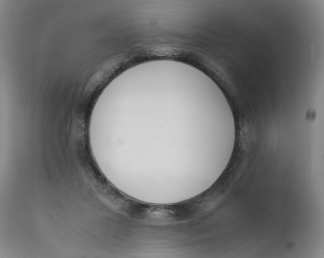 X0000111780407200908131353