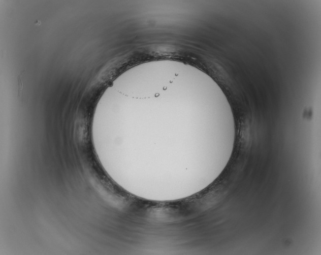 X0000111780408200908131353