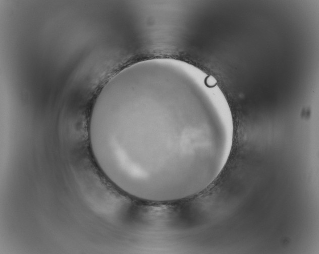 X0000111780411200908131353