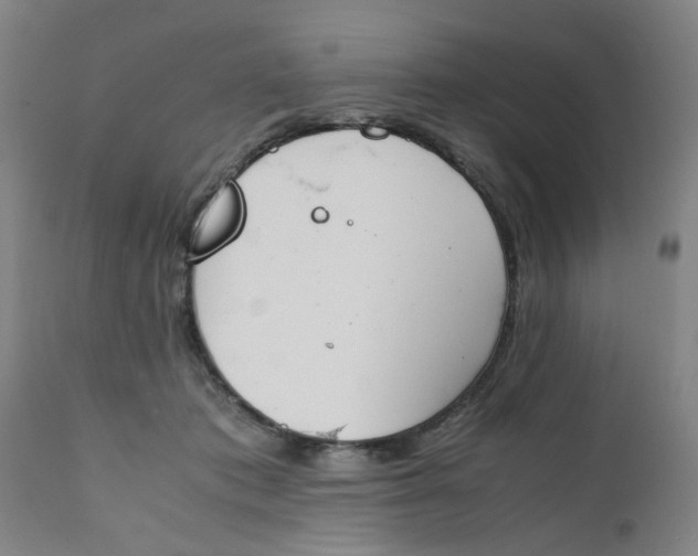 X0000111780413200908131353