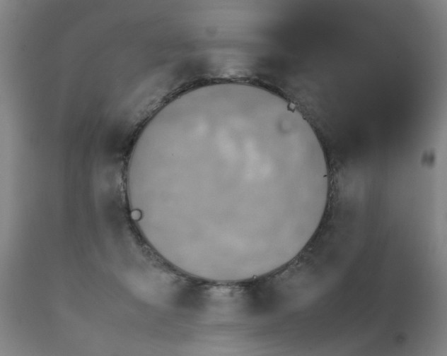 X0000111780415200908131353