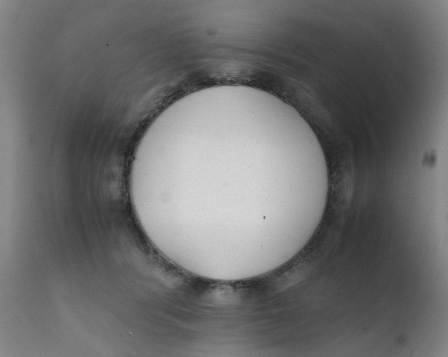 X0000111780416200908131353