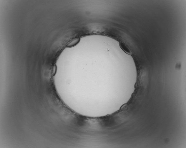 X0000111780417200908131353